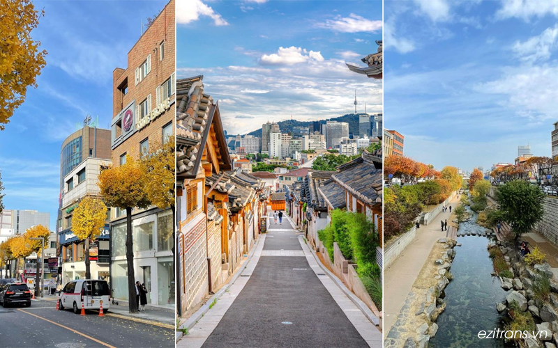 Seoul là một thành phố phát triển và sôi động Seoul là một thành phố phát triển và sôi động