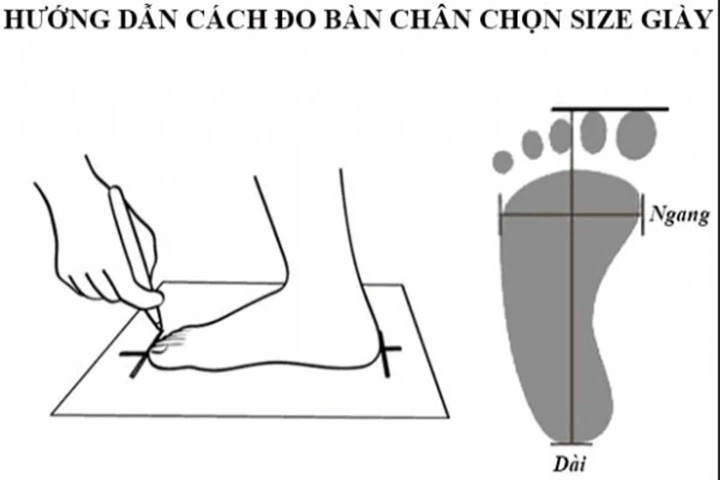 Các bước đo bàn chân chọn size giày Adidas, Nike