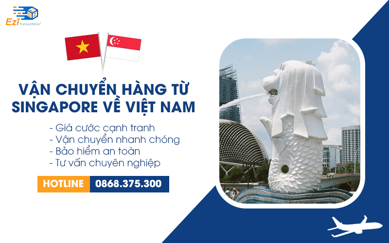 Dịch vụ vận chuyển hàng từ Singapore về Việt Nam trọn gói giá rẻ